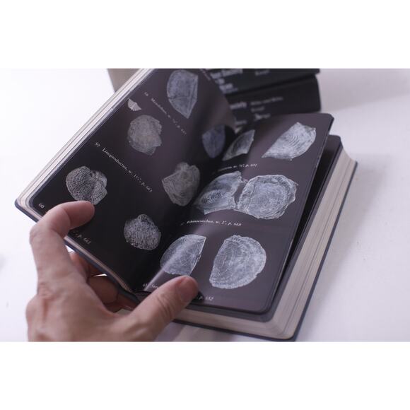 The Audubon Society Field Guide, Book Lot, Fossils, Seashells, ~ 250811-WH 490 - Picture 2 of 3